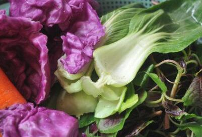 農(nóng)產(chǎn)品快速檢測(cè)設(shè)備 農(nóng)產(chǎn)品快速檢測(cè)設(shè)備