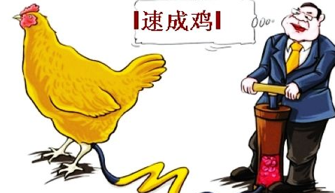 病害肉檢測(cè)儀讓肉類安全有保障