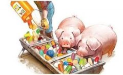 獸藥殘留檢測方法有哪些？