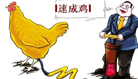 為什么會有獸藥殘留？