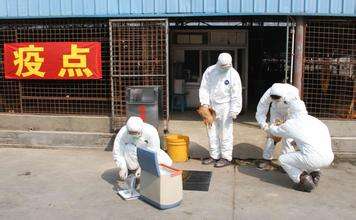 如何預(yù)防動(dòng)物疫??？