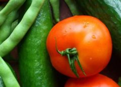 配備食品安全檢測儀有何必要性？