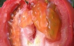 農(nóng)殘快速檢測(cè)儀如何做到保障農(nóng)產(chǎn)品安全的？