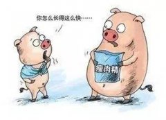 瘦肉精檢測(cè)儀廠家 - 山東云唐智能科技有限公司